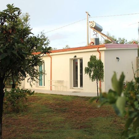 Al 101...Sogni... Daire Villa San Pietro Dış mekan fotoğraf